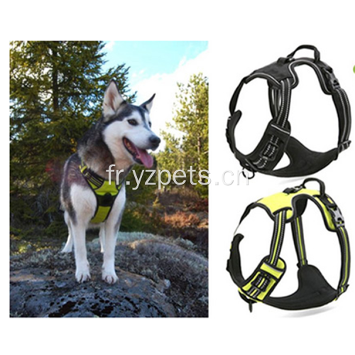 Harnais réglable en nylon pour chien d&#39;entraînement doux et réfléchissant